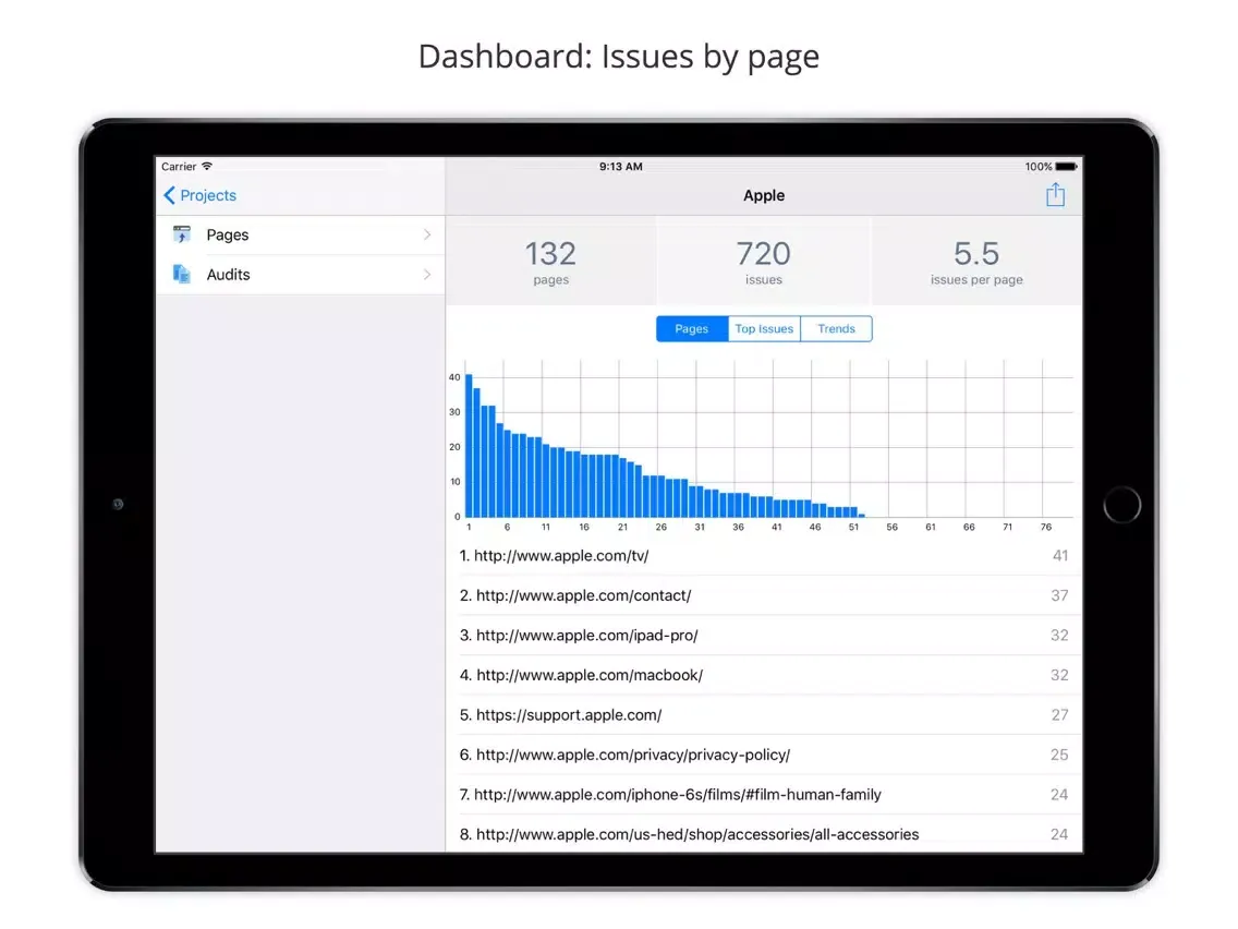 Tangkapan layar Mobile Web Accessibility Check iPad 