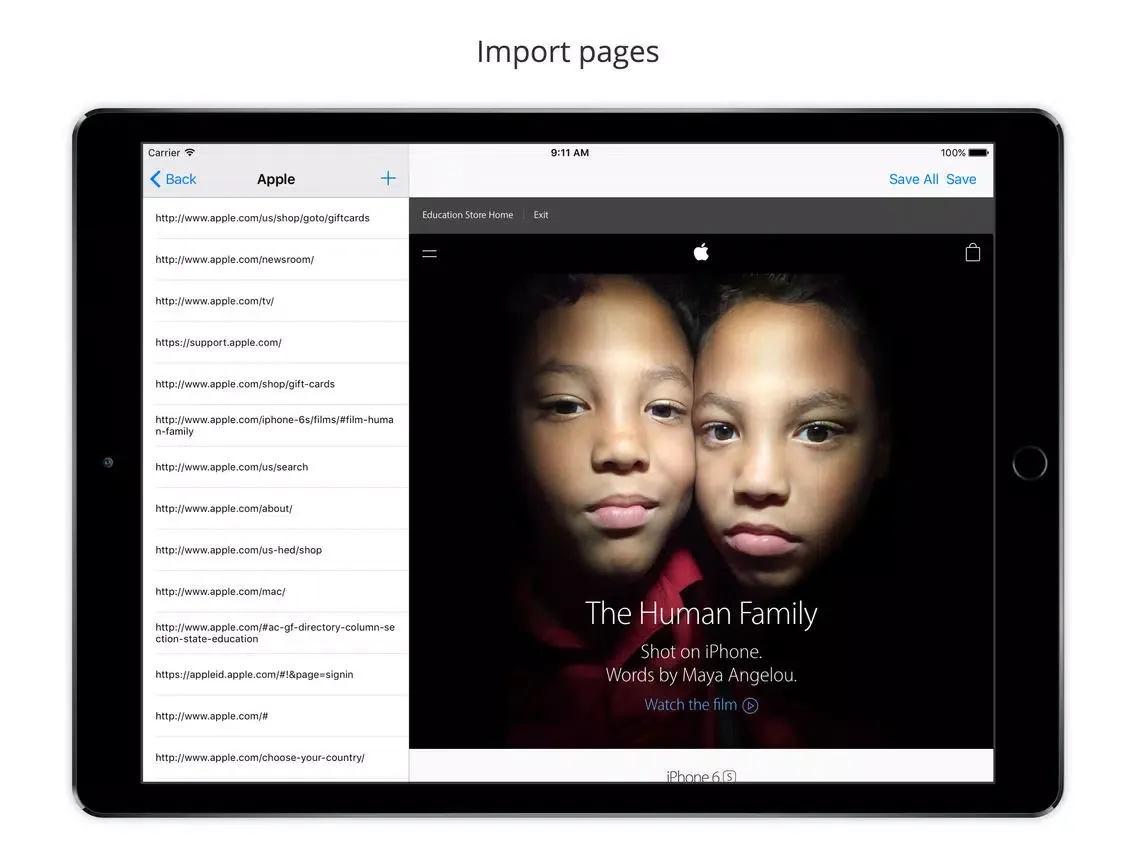 Tangkapan layar Mobile Web Accessibility Check iPad 
