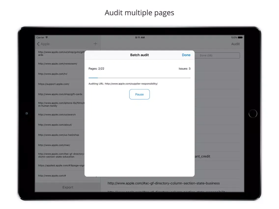 Tangkapan layar Mobile Web Accessibility Check iPad 