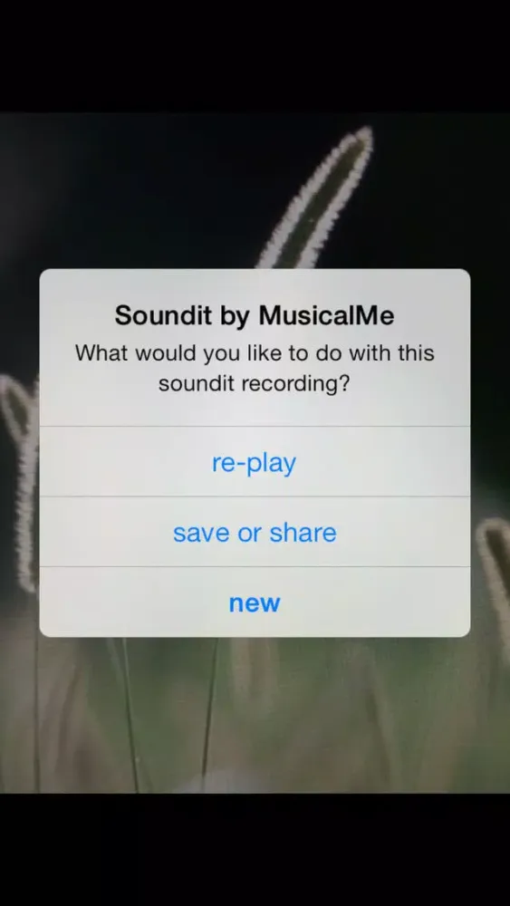 Soundit by MusicalMe 스크린샷