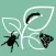 Pest ID