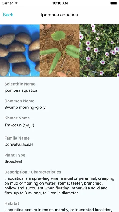 Zrzuty ekranu Weed Identifier