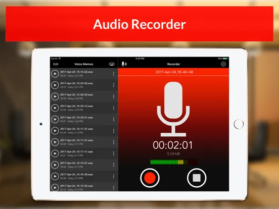 Скриншоты Voice Recorder & Audio Memos iPad 
