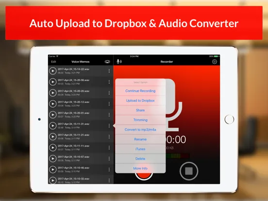 Скриншоты Voice Recorder & Audio Memos iPad 