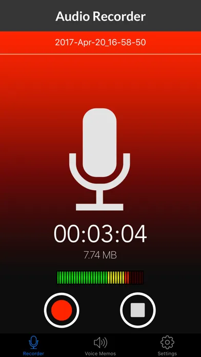 Скриншоты Voice Recorder & Audio Memos