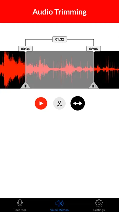 Скриншоты Voice Recorder & Audio Memos