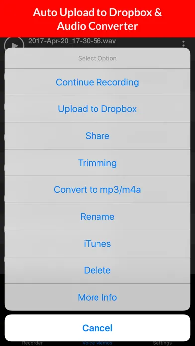 Скриншоты Voice Recorder & Audio Memos