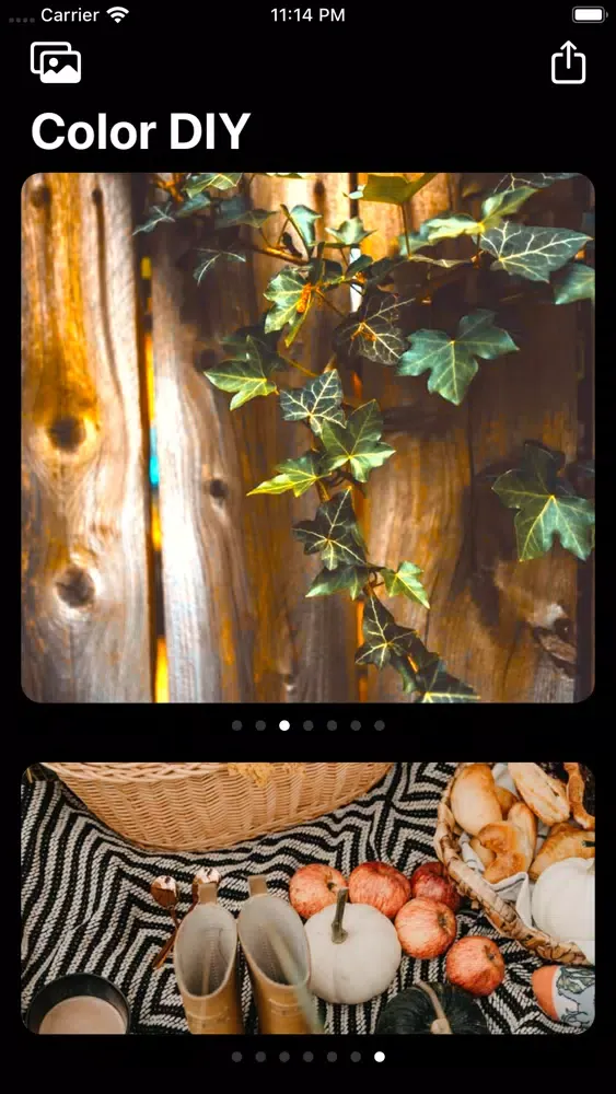 Скриншоты Color DIY