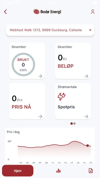 Bodø Energi স্ক্রিনশট