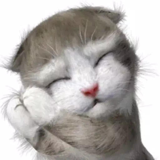 CatEva-Emoij