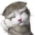 CatEva-Emoij