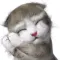 CatEva-Emoij