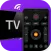 Universal TV Remote Control