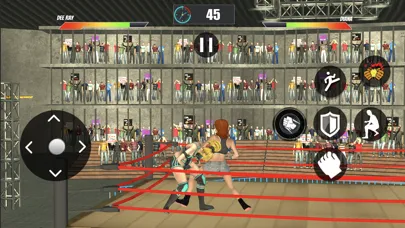 ภาพหน้าจอของ Kombat Fighting Games 2023