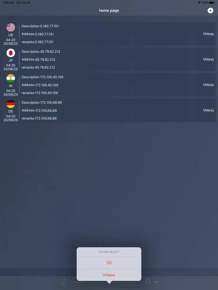 V2rayHub iPad  Screenshots