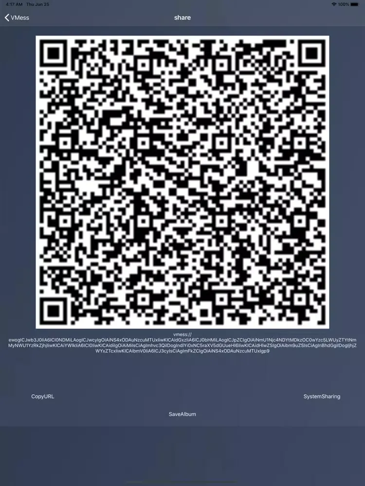 V2rayHub iPad  Screenshots