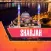 Sharjah Travel Guide