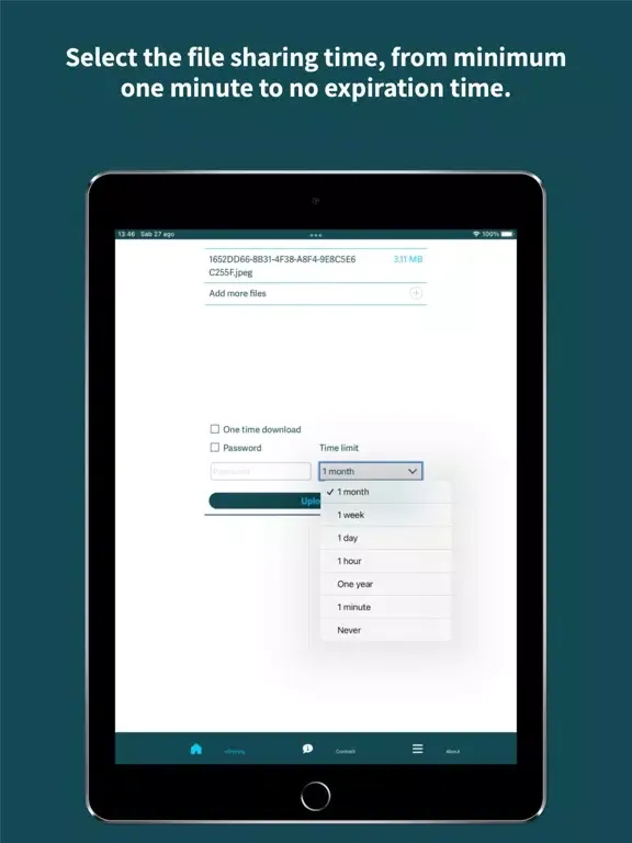 Tangkapan layar vSharing Files Sharing iPad 