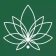 Studio Lotus Yoga
