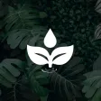 Thriving Springs Wellness