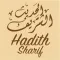 Hadith Multilingual