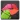 VAJA Text-to-Speech