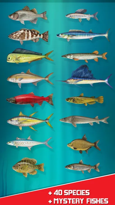 Real Reel Fishing Simulator 3D Screenshots