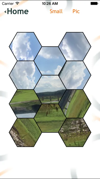 Hexy- The Hexagon Game سکرین شاٹس