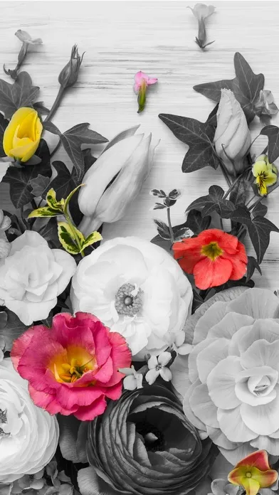 Color effects photo editing – black and white سکرین شاٹس