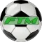 Football Team Manager