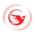 Fenix Construction
