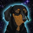 Space Dog Cru Space Dog Cru