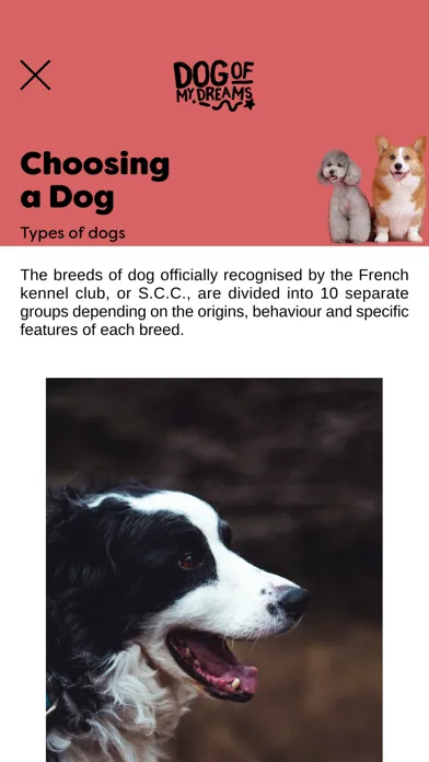 ภาพหน้าจอของ Dog of my dreams