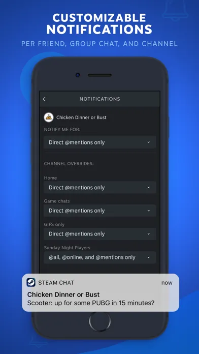 Steam Chat应用截图