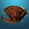 Fish Math