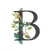 BLOOMwithVCA