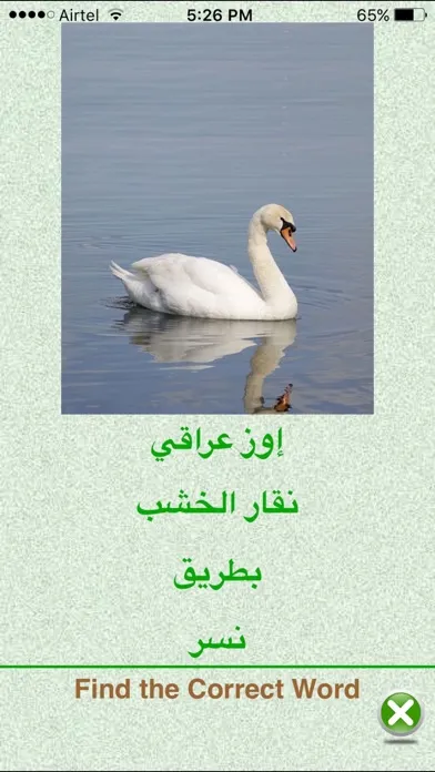 FlashCards Arabic Lesson應用截圖