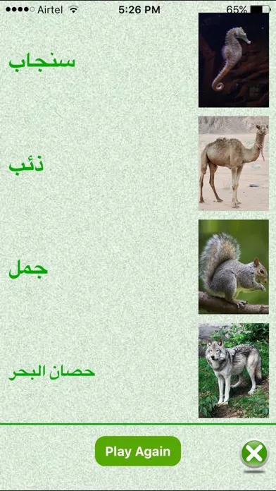 FlashCards Arabic Lesson應用截圖