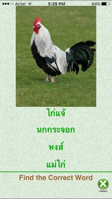 FlashCards Thai Lesson Screenshots