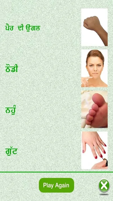 تصاویر Flashcards Punjabi Lesson