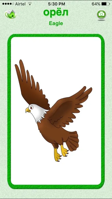 Flashcards Russian Lesson স্ক্রিনশট