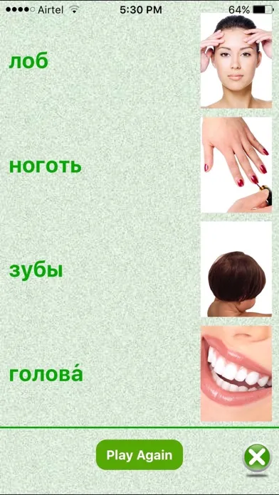 Flashcards Russian Lesson স্ক্রিনশট