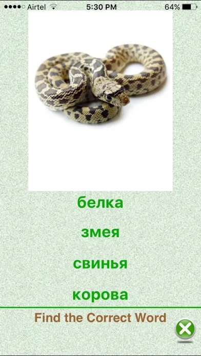 Flashcards Russian Lesson স্ক্রিনশট