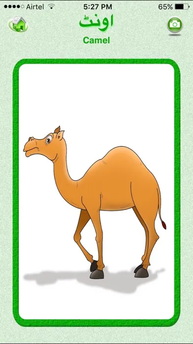 Ảnh chụp màn hình của Flashcards Urdu Lesson