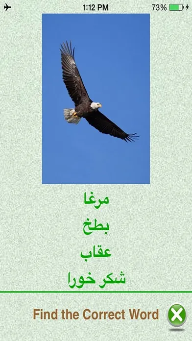 Ảnh chụp màn hình của Flashcards Urdu Lesson