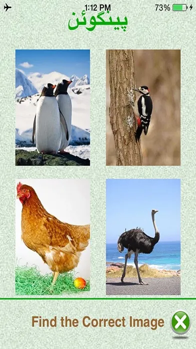 Ảnh chụp màn hình của Flashcards Urdu Lesson