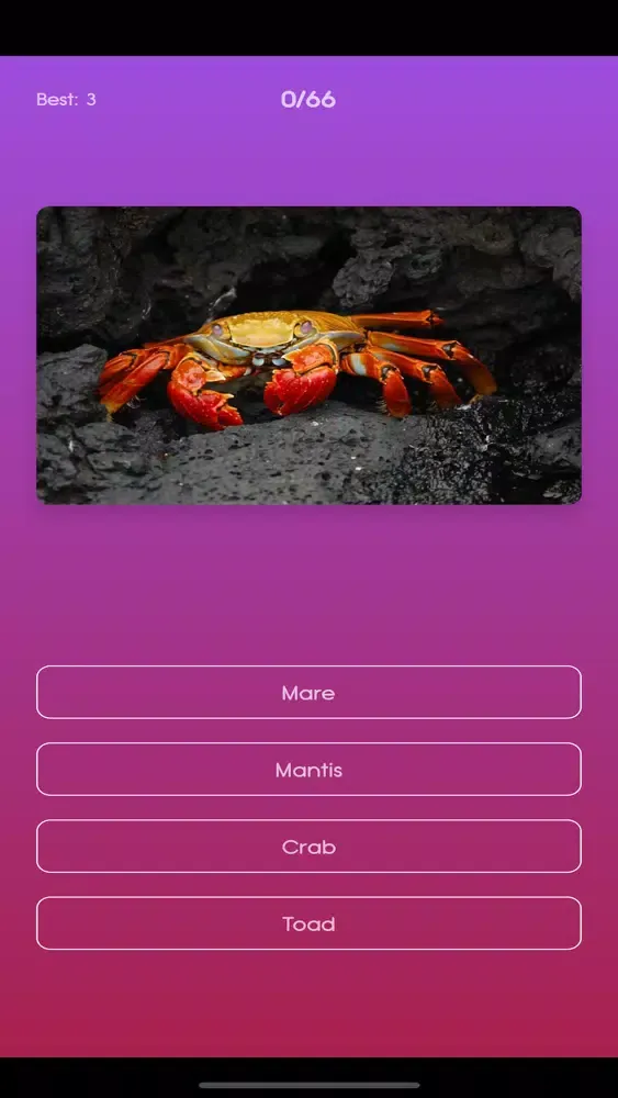Varmint Quiz Screenshots