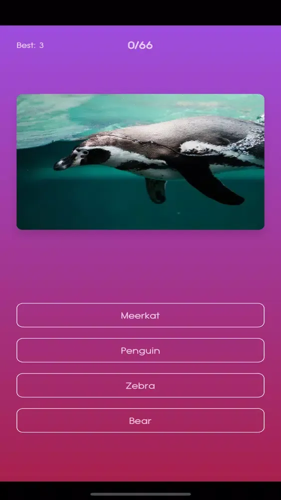 Varmint Quiz Screenshots