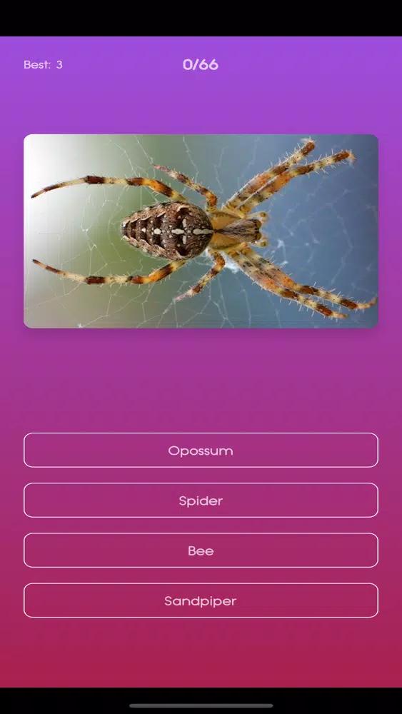 Varmint Quiz應用截圖