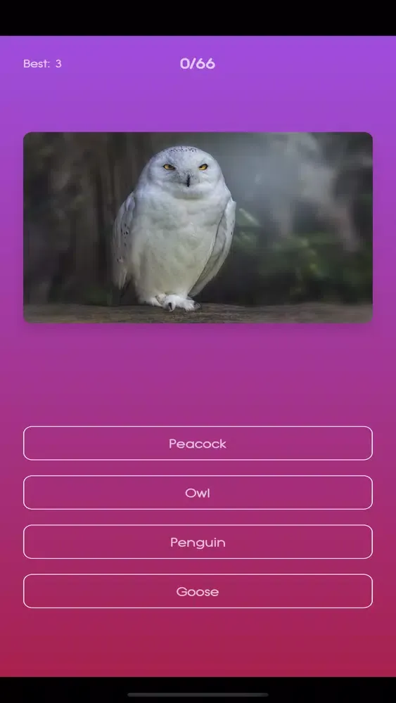 Varmint Quiz Screenshots